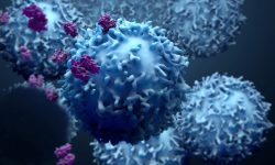 un nuevo tipo de anticuerpos despiertan la inmunidad antitumoral del paciente