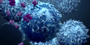 un nuevo tipo de anticuerpos despiertan la inmunidad antitumoral del paciente