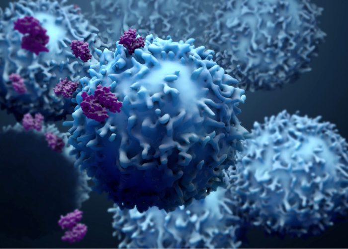 un nuevo tipo de anticuerpos despiertan la inmunidad antitumoral del paciente