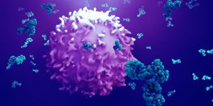 Una vacuna experimental podría prevenir la aparición de cáncer en personas portadoras de mutaciones relacionadas con el síndrome de Lynch.