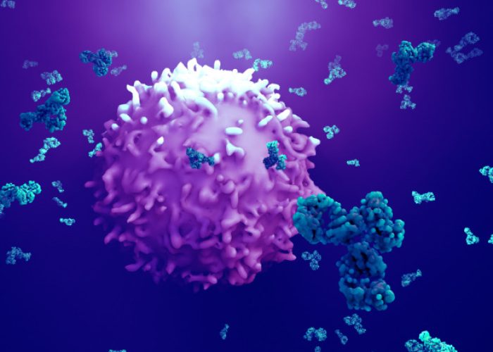 Una vacuna experimental podría prevenir la aparición de cáncer en personas portadoras de mutaciones relacionadas con el síndrome de Lynch.