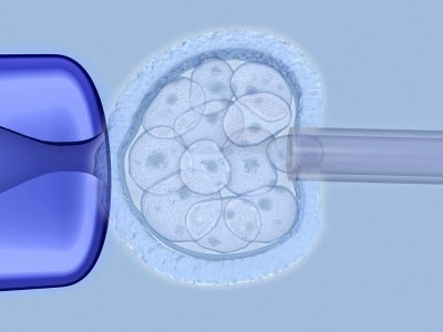 La Sociedad Europea de Genética Humana se posiciona en contra de la utilización de valores de riesgo poligénico para seleccionar embriones. Imagen: Getty Images.
