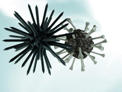 Virus. Imagen: Razza Mathadsa vía Flickr. (CC BY 2.0, https://creativecommons.org/licenses/by/2.0/).