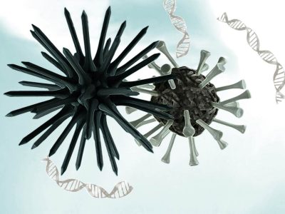 Virus. Imagen: Razza Mathadsa vía Flickr. (CC BY 2.0, https://creativecommons.org/licenses/by/2.0/).